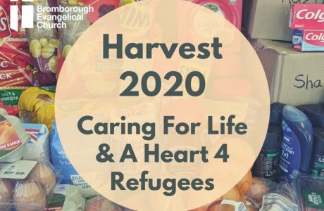 Harvest 2020