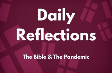 Daily Reflections