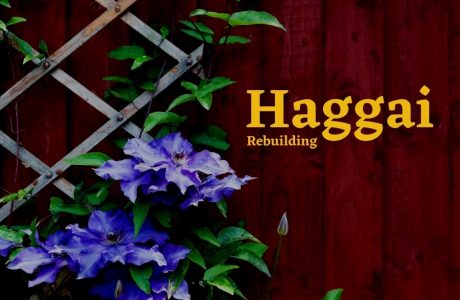 Haggai feature image
