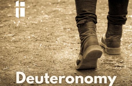 Cover image for Deuteronomy series